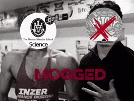 Mogged GIF