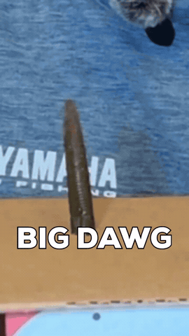 Big Dawg GIF