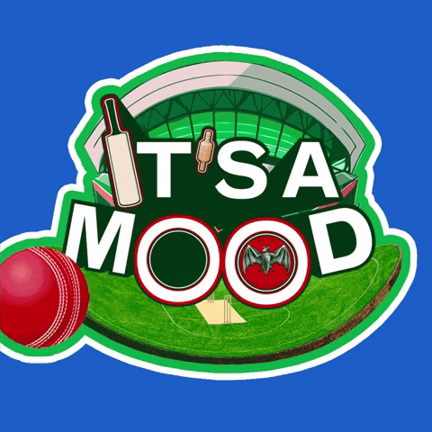 Cricket Ball Mood GIF by Bacardi Mixr