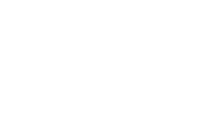 Todeschini S.A. Sticker