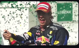 Sebastian Vettel F1 GIF