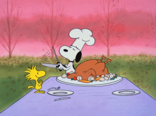 Peanuts gif. A scene from A Charlie Brown Thanksgiving. At an outdoor dinner table, Chef Snoopy sharpens a knife, preparing to carve a big roast turkey. Woodstock stands on the table, clutching his wings together in excitement.