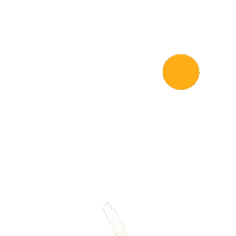 Nicowilmes Sticker by 101 Park Tulum