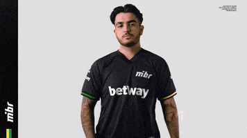 Game GIF by MIBR