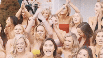 GIF by Pi Beta Phi Fraternity for Women