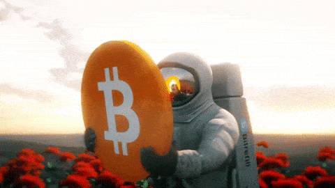Bitcoin's Price Hits 2023 High