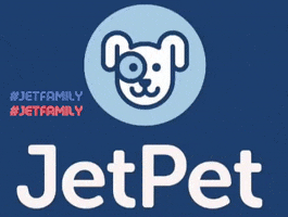 Jetpetresort GIF
