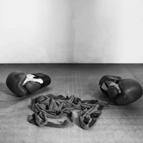 AntBition Maribor GIF