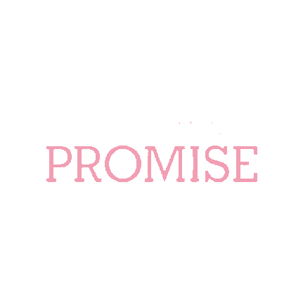 Promise Sticker