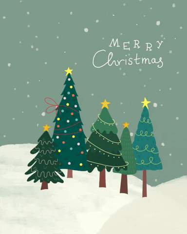 Merry Christmas everyone ⭐🌲