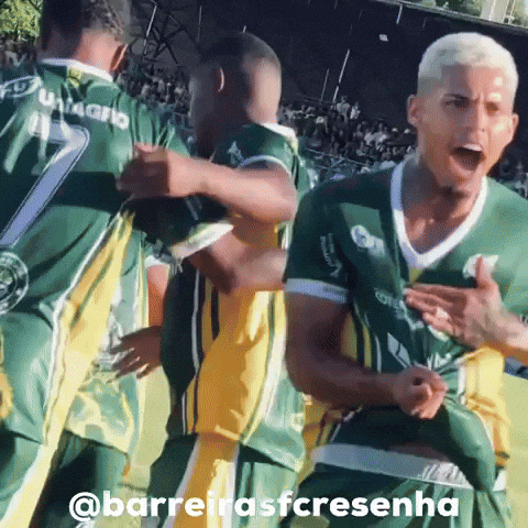 Barreirasfcresenha GIF