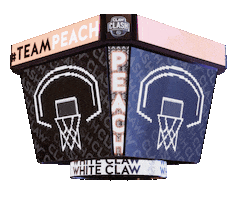 Basketball Peach Sticker by White Claw