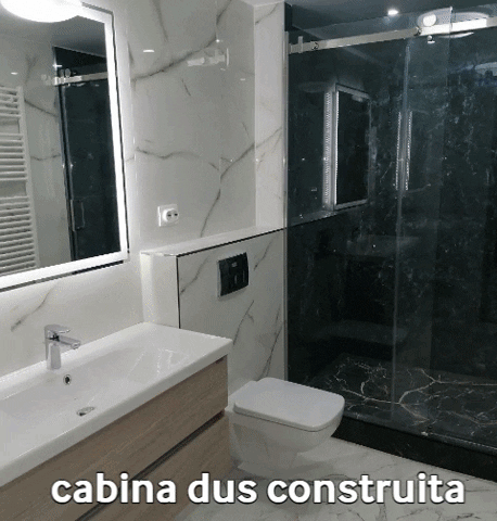 Renovare Baie GIF