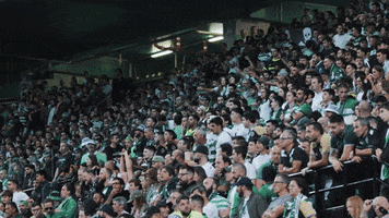 Fans Adeptos GIF by Sporting CP