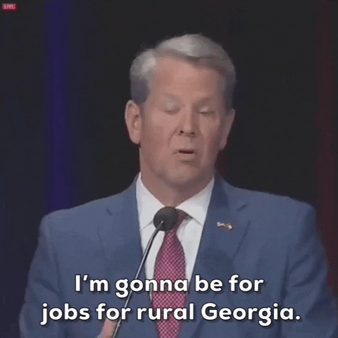 Brian Kemp Republicans GIF by GIPHY News