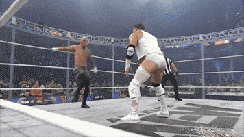 All Elite Wrestling GIF