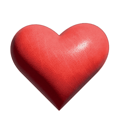 Chile Love Sticker by Modum Company