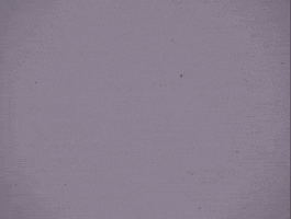 200.gif?cid=fc005b086277099b5b4731b0e8311d7b5344e726ce249854&rid=200.gif&ct=g