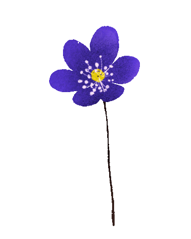 Flower Velykos Sticker by SOMA agency