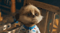 [Image: 200w.gif?cid=6c09b952f3w34ha21cpvf6m9ipk...w.gif&ct=g]