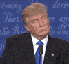 Loop Trump GIF
