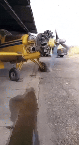 Gif-Vifcom GIF