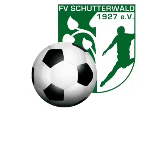 wildkids_fvschutterwald football soccer fussball blackforest GIF