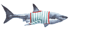 Cape Cod Swimming Sticker