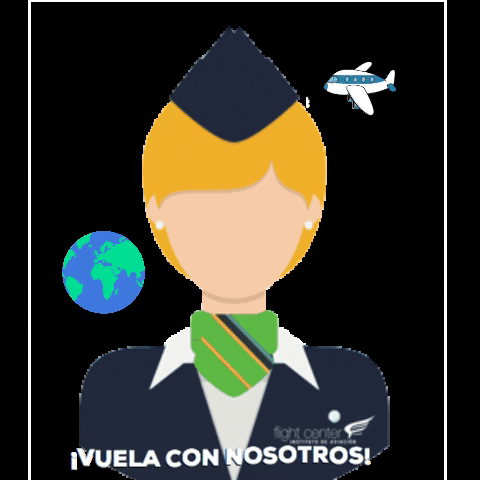 Flight Center Instituto de aviación GIF