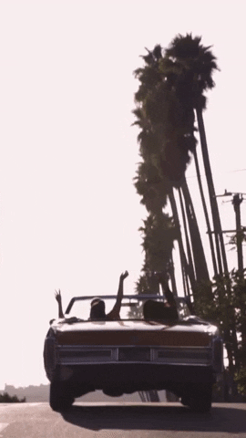 GIF by RILEY ROSE