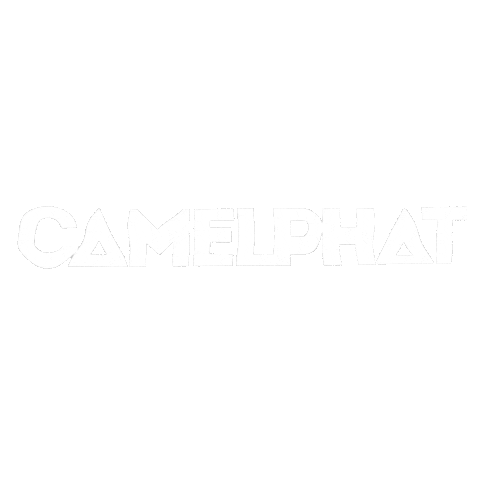 Camelphat Music Sticker