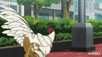 Chicken Kick GIF by Adult Swim