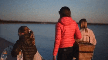 Gfb GIF by goGotland