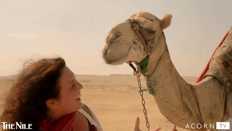 Middle East Kiss GIF by Acorn TV - Find & Share on GIPHY