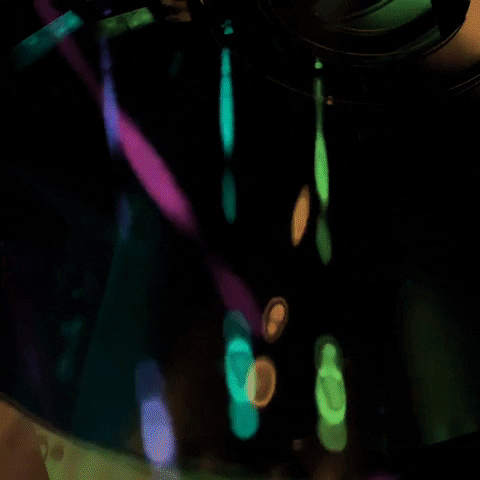 Night Out Dancing GIF by Mollie_serena