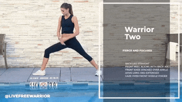 livefreewarrior GIF