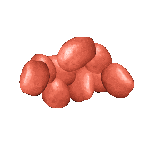 Albert Bartlett Sticker