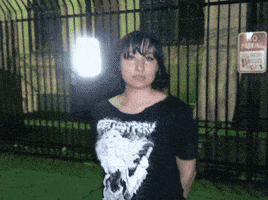 Van Buren Phoenix GIF