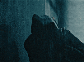 The Bear Rain GIF