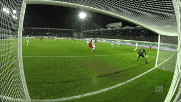 1 fc cologne football GIF by 1. FC Köln