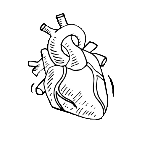 Day Of The Dead App Sticker by Easy