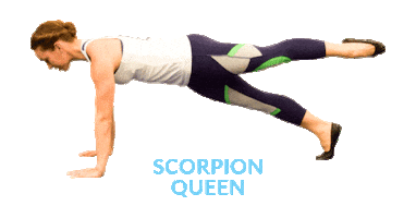 Queen Scorpion Sticker by Physique 57