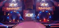All Elite Wrestling GIF by AEWonTV