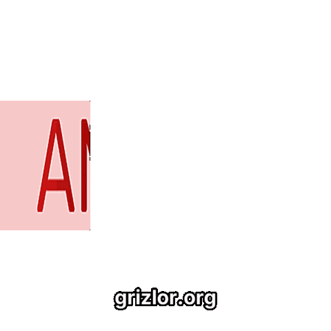 Happy Bear Sticker by grizlor