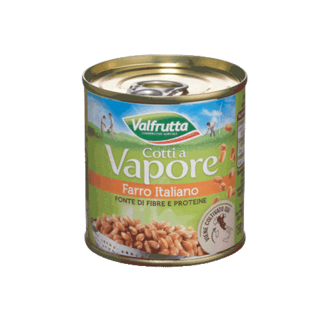 Valfrutta Sticker