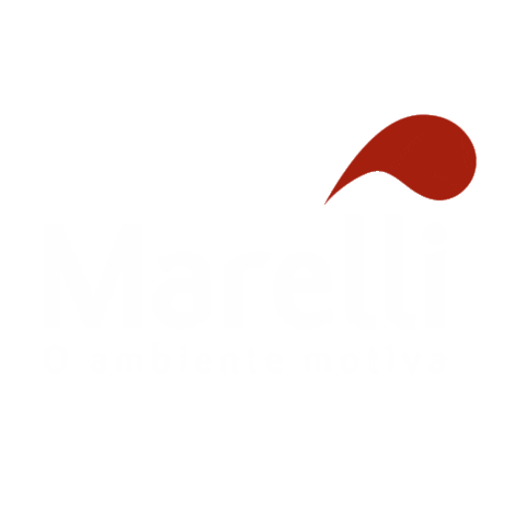 Marelli Oficial Sticker