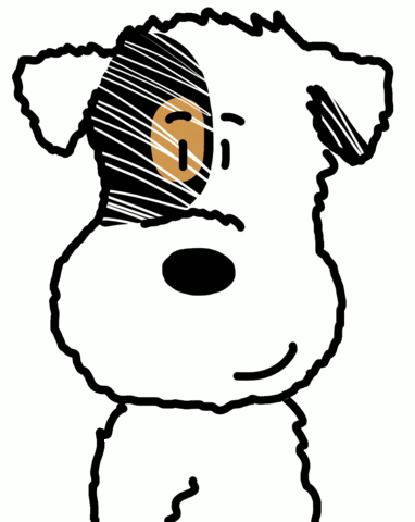 Jack Russell No GIF