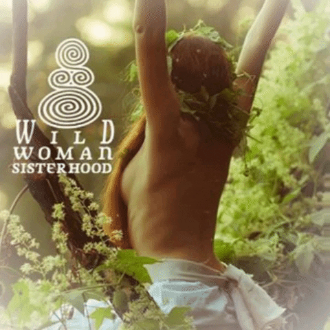 WildWomanSisterhood GIF