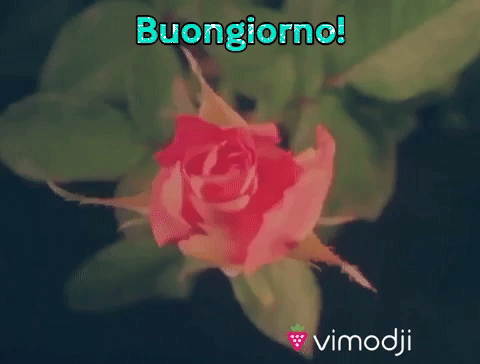 Buongiorno