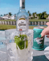 Craft Beer GIF by Biscayne Bay Brewing